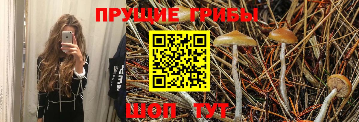 Псилоцибиновые грибы Magic Shrooms Новотроицк