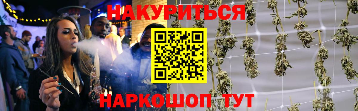 Конопля планчик Новотроицк